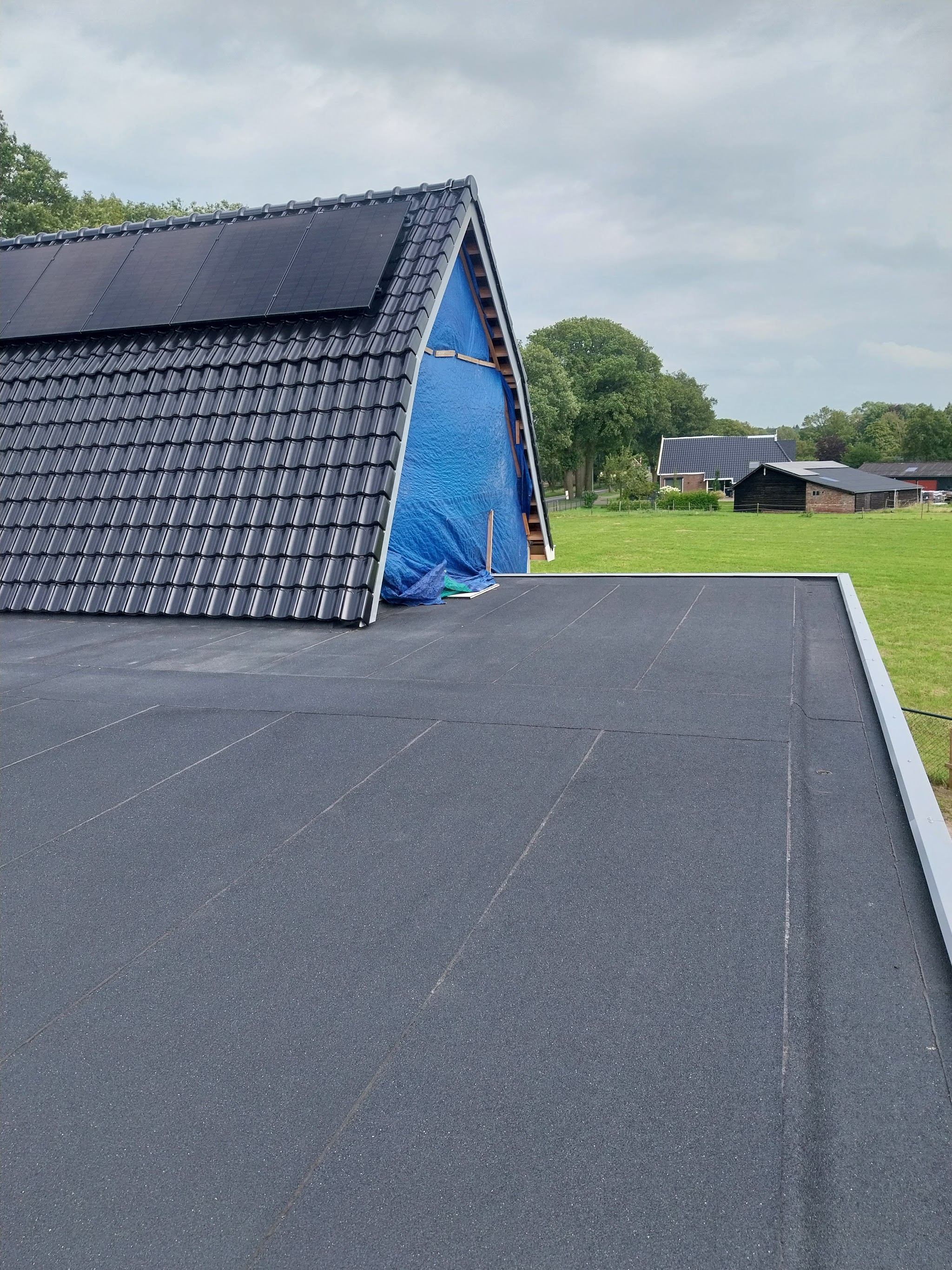 Professional roofing